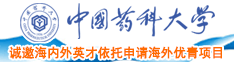 www日啊啊啊中国药科大学诚邀海内外英才依托申请海外优青项目